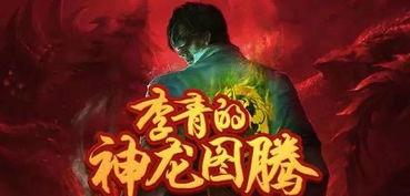 神龙李青爆料视频大全最新,揭秘娱乐圈幕后真相 第2张 神龙李青爆料视频大全最新,揭秘娱乐圈幕后真相 第2张
